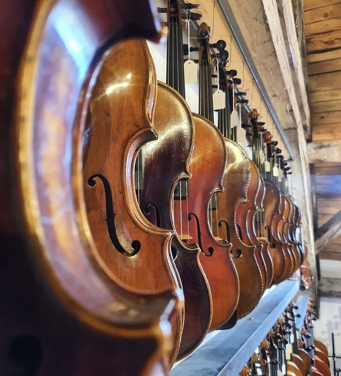 Instrumentensammlung Der Himmel voller Geigen. Das Musikzimmer hängt voller Instrumente die darauf warten das passende Zuhause zu finden.